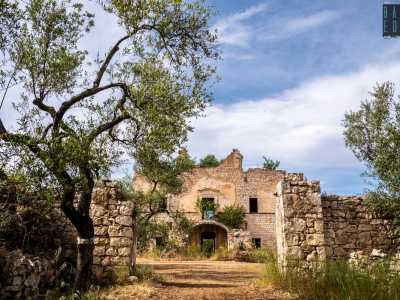 Dopo il lungo cammino arriviamo finalmente nell'ampio atrio semicircolare della villa